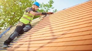 Best Roof Maintenance and Cleaning  in Manning, SC