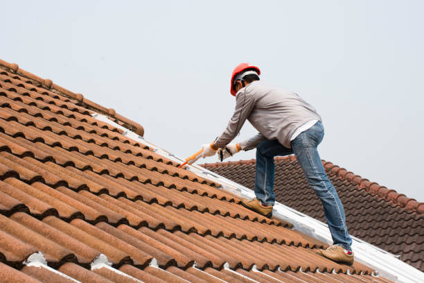 Best Roof Insulation Installation  in Manning, SC